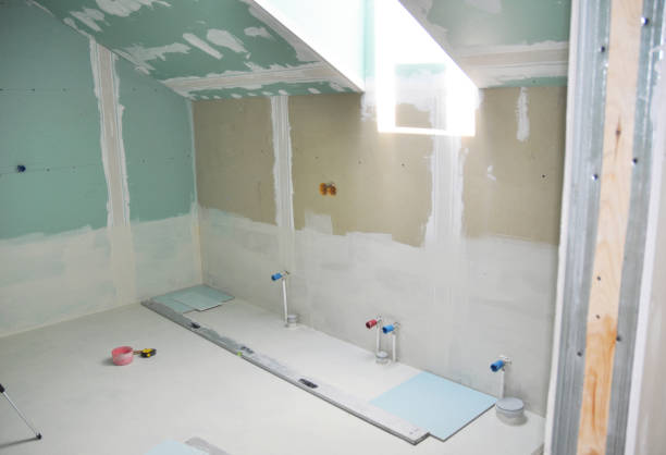 Best Basement Mold Removal  in San Antonio, FL