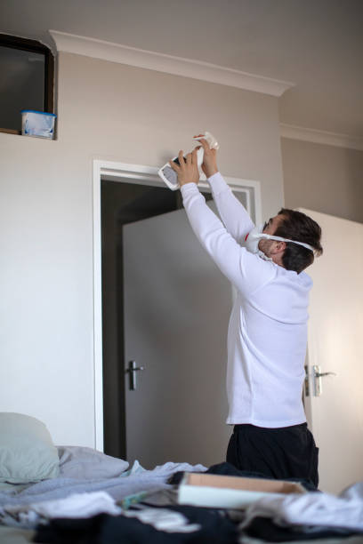 Best Mold Remediation for Rental Properties  in San Antonio, FL