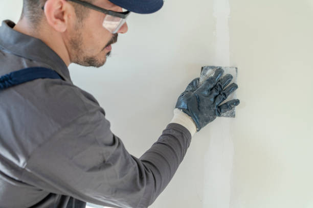 Best Emergency Mold Remediation  in San Antonio, FL