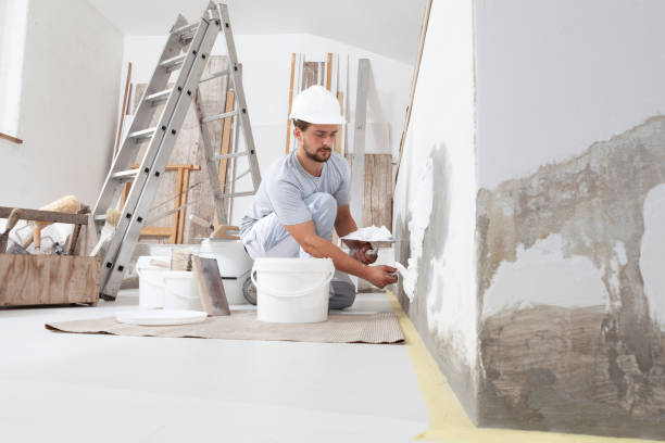 San Antonio, FL Mold Removal Company