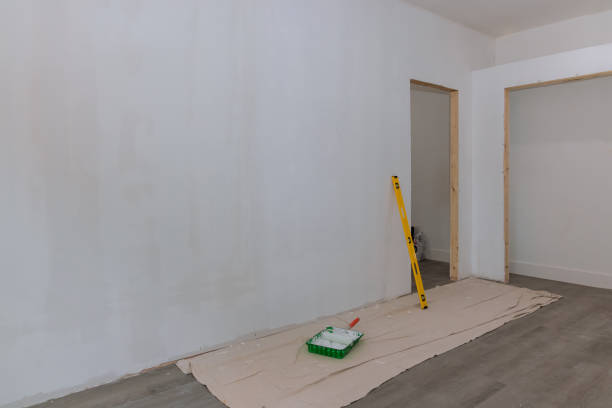 Best Commercial Mold Inspection  in San Antonio, FL