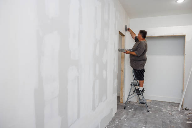 Best Mold Remediation for Vacation Homes  in San Antonio, FL