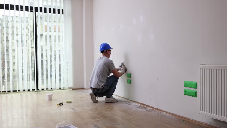 Best Black Mold Removal  in San Antonio, FL