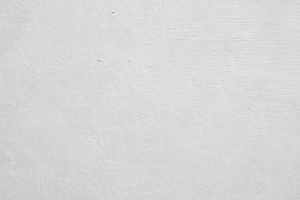 Best Mold Removal for HVAC Installations  in San Antonio, FL